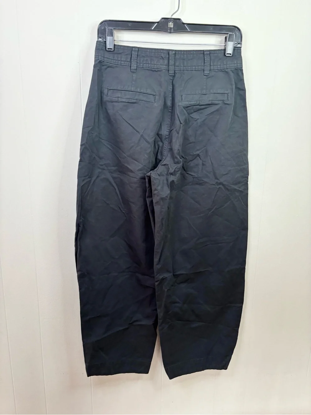Everlane black tencel twill pleated chino sz 2 new barrel high rise cotton linen